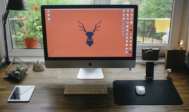 monitor