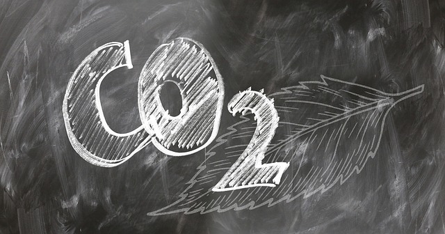 co2.jpg